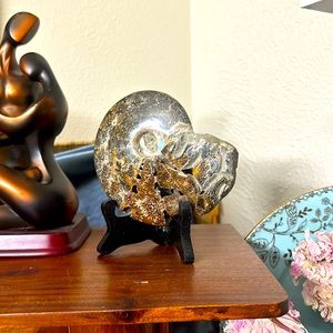 Ammonite fossil pearlescent 4"1/2 -5"